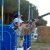 Game Fair 2008