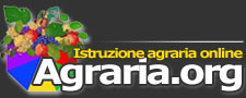 logo_top2